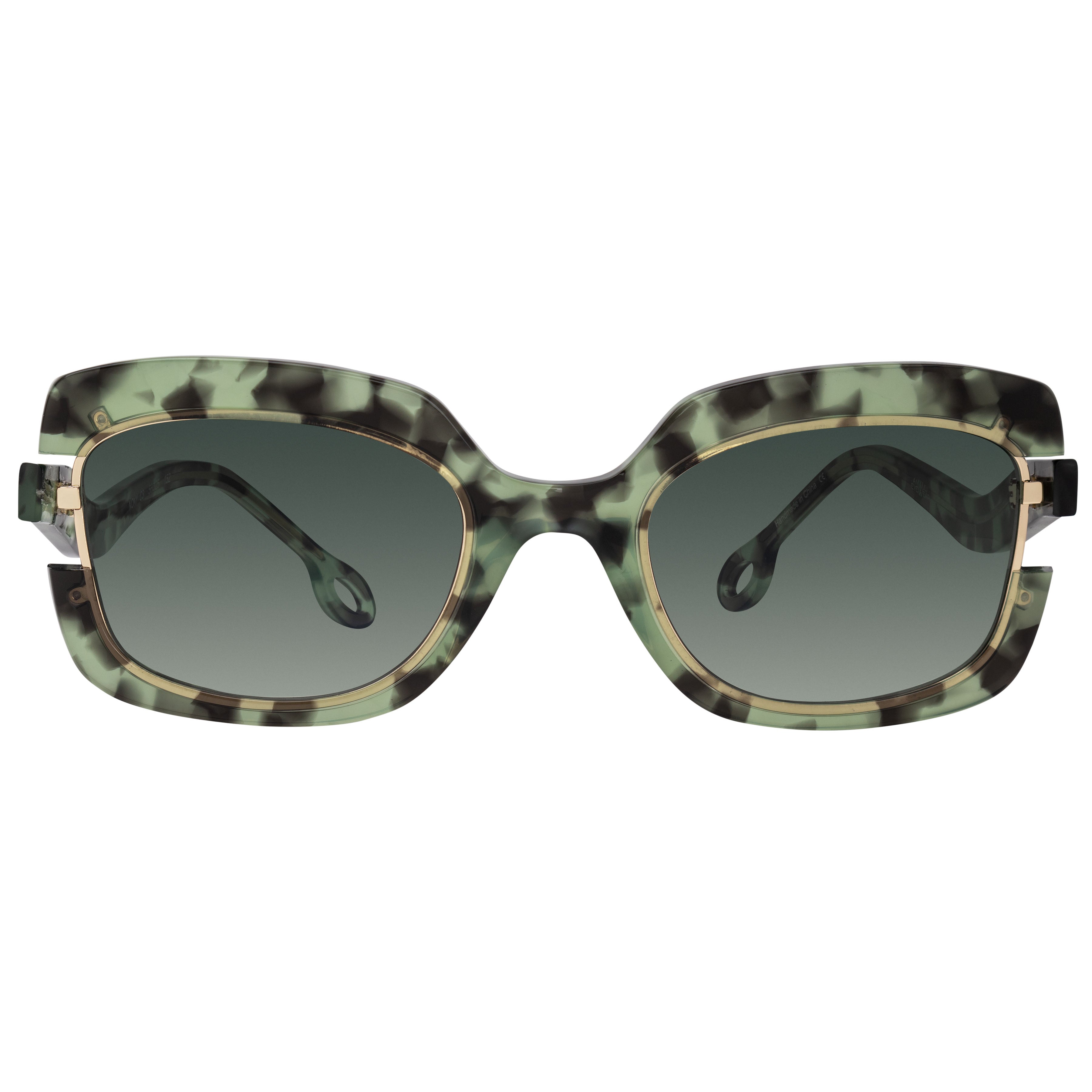 Nony Green Tortoise